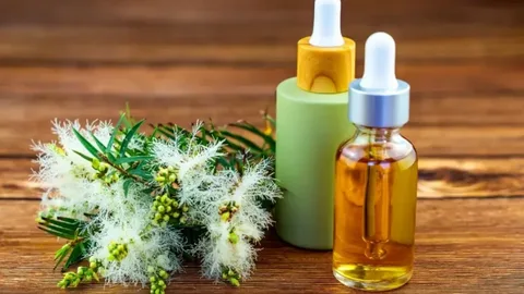 تصویر 2 از خرید روغن گیاهی درخت چای + بهترین قیمت